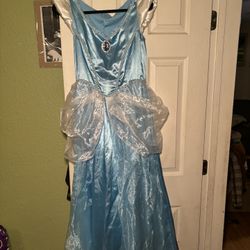 Cinderella Costume Adult 