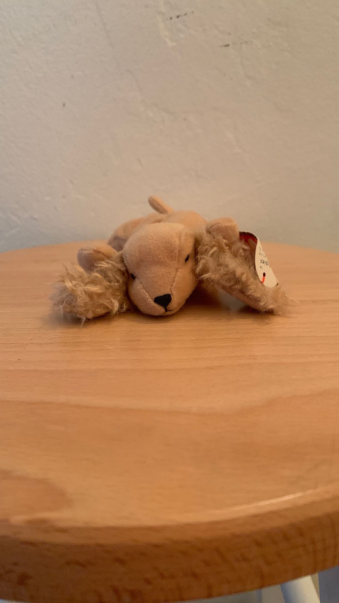 Ty beanie babies Rare (Spunky) beanie baby bear. Never used keep in a collection of other ty beanie baby’s. Collectible rare kids toys cheap valuable
