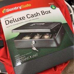 Sentry Cash Box 
