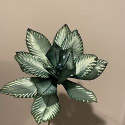 Green Flower