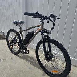 Electric Bike 