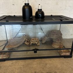 Terrarium 