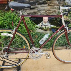 Vintage Shogun Road Bike 