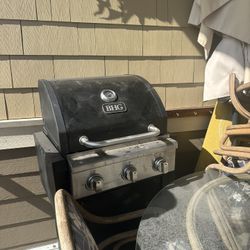Free Small Barbecue 
