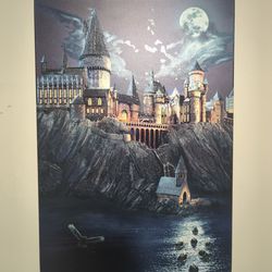 Harry Potter Limited Edition Displate