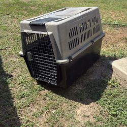dog crate 