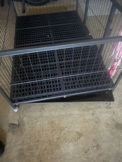 Dog Crate