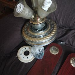 Ceiling Fan