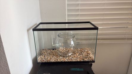 Free fish tank