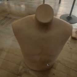 Neck And Shoulder Mannequin Bust