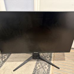 32” Widescreen Monitor