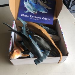 Boley 8 Piece Shark Set