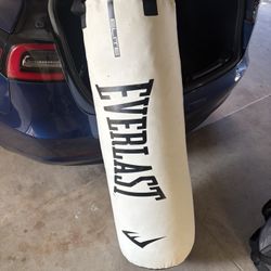 Punching Bag