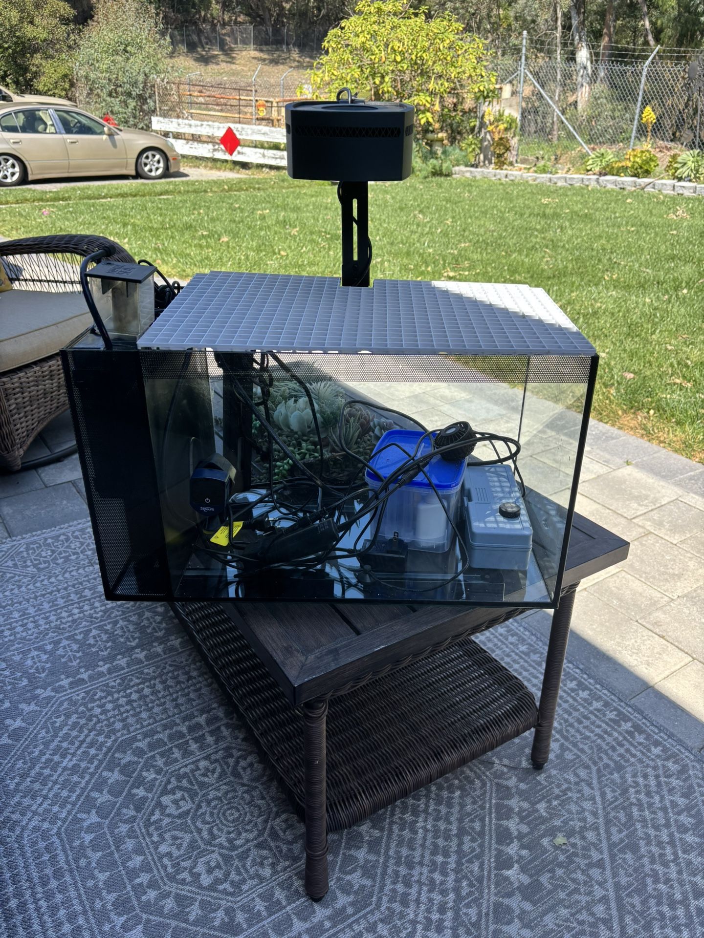 salt water fish tank