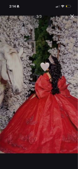 Quinceanera dress