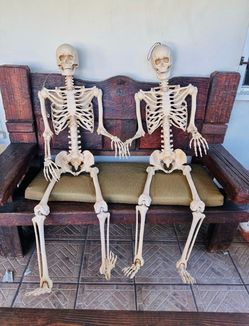 Halloween 🎃 Skeletons set white lights