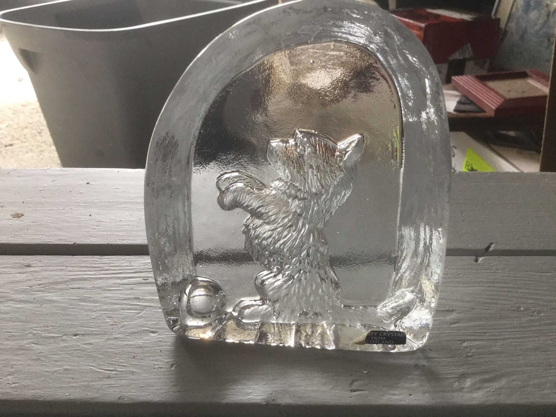 Crystal dog