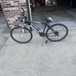 Old Schwinn Bicycle (Repairs Needed) 