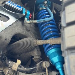 Sequoia Kings Available On Payment Plans 