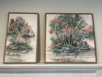 Two framed paintings