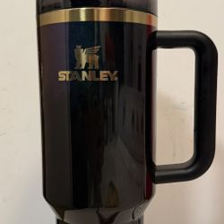 Stanley Wicked For Good Elephaba 40oz