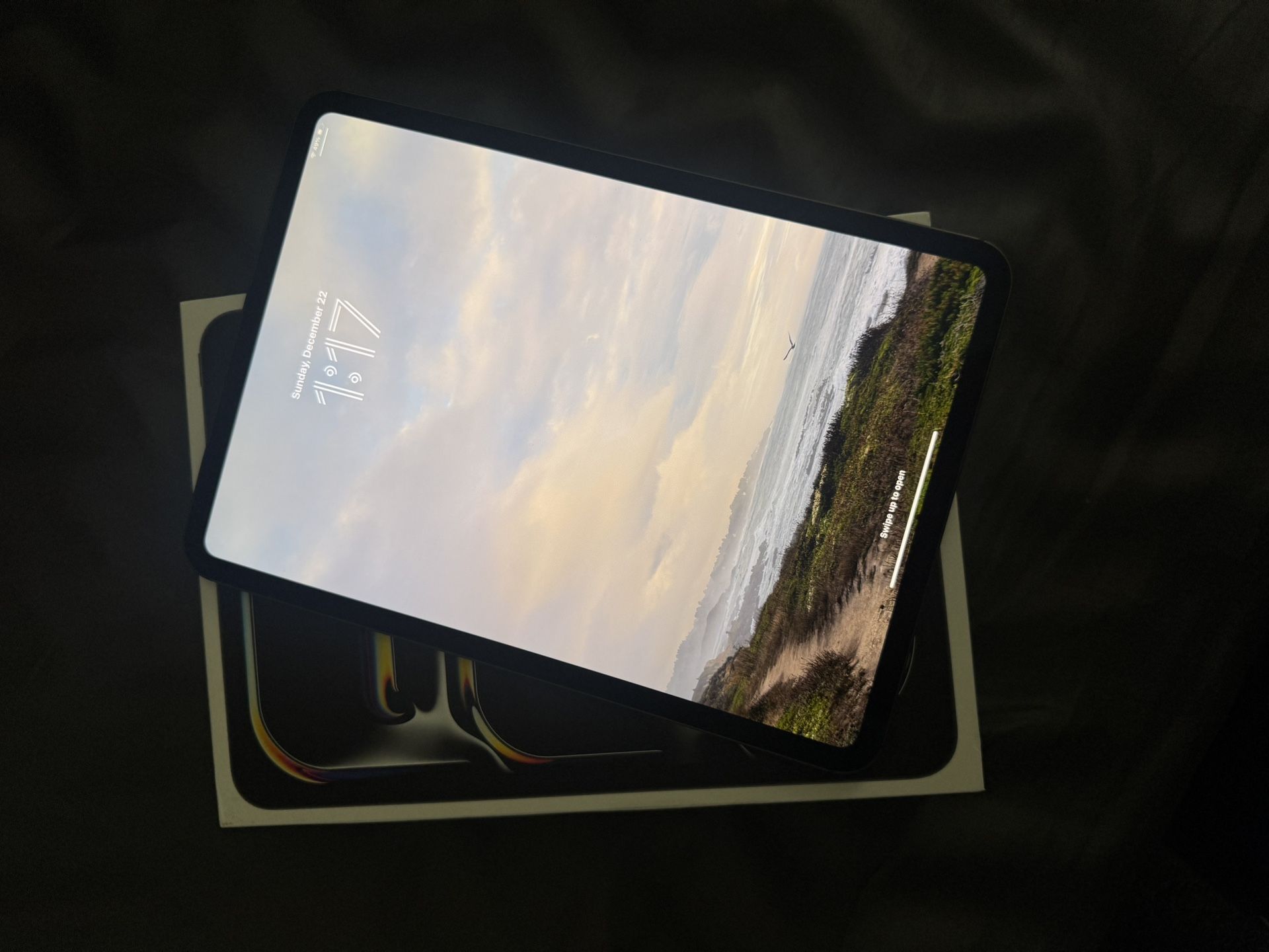iPad Pro 11” (256GB, Wifi)