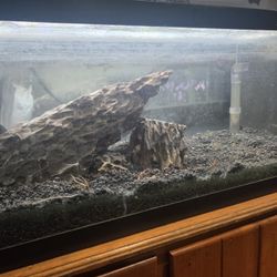 20l Aquarium 