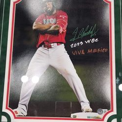 Randy Arozarena Autographed