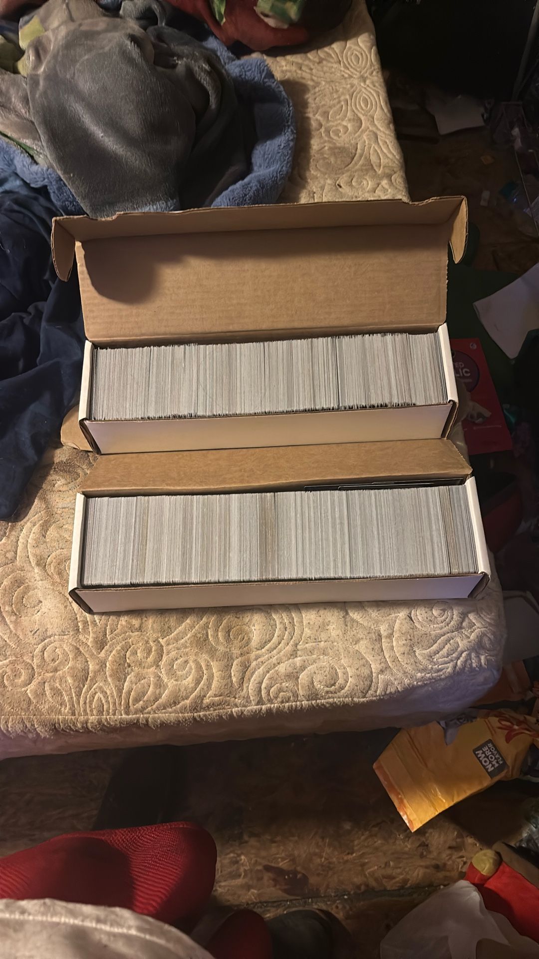 1600 Magic The Gathering Cards