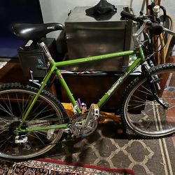 Diamondback AscentOX Mountian Bike 