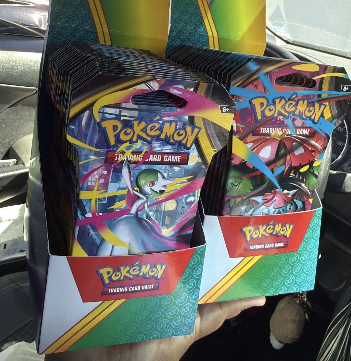 Pokemon Mega Evolutions