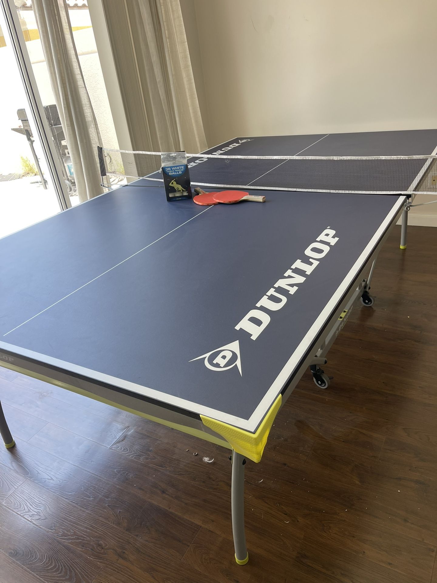 Ping pong table (with Net, Paddles, and Balls)