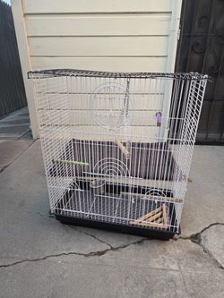 Bird Cage