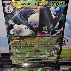 Meowscarada EX bundle (pokemon tcg)