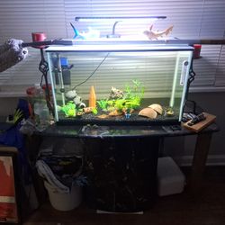 30 Gallon Tank