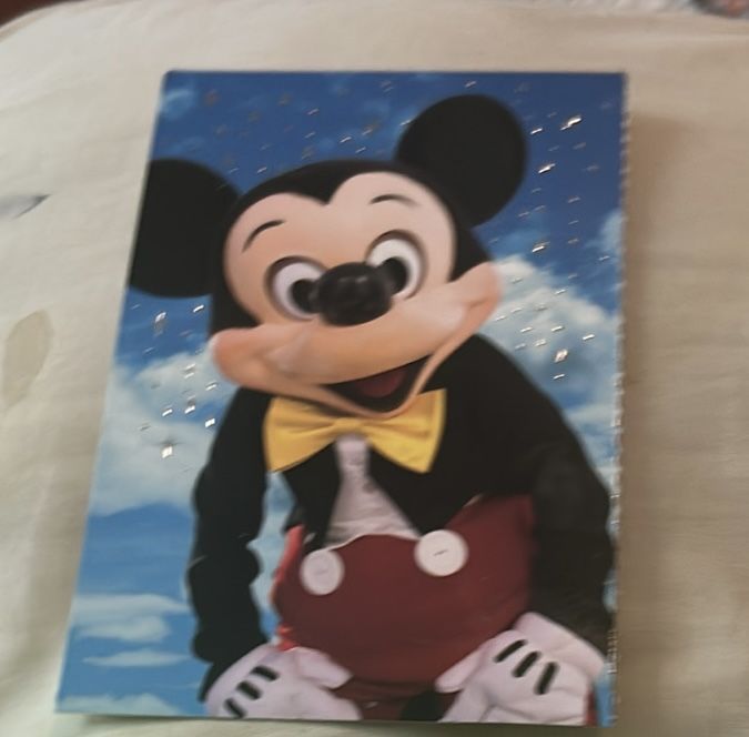 Beautiful Mickey Mouse Postcard