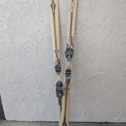 Dynastar Skis 