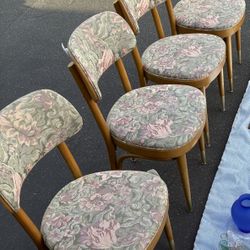 Mid Century Thonet Dining Chairs