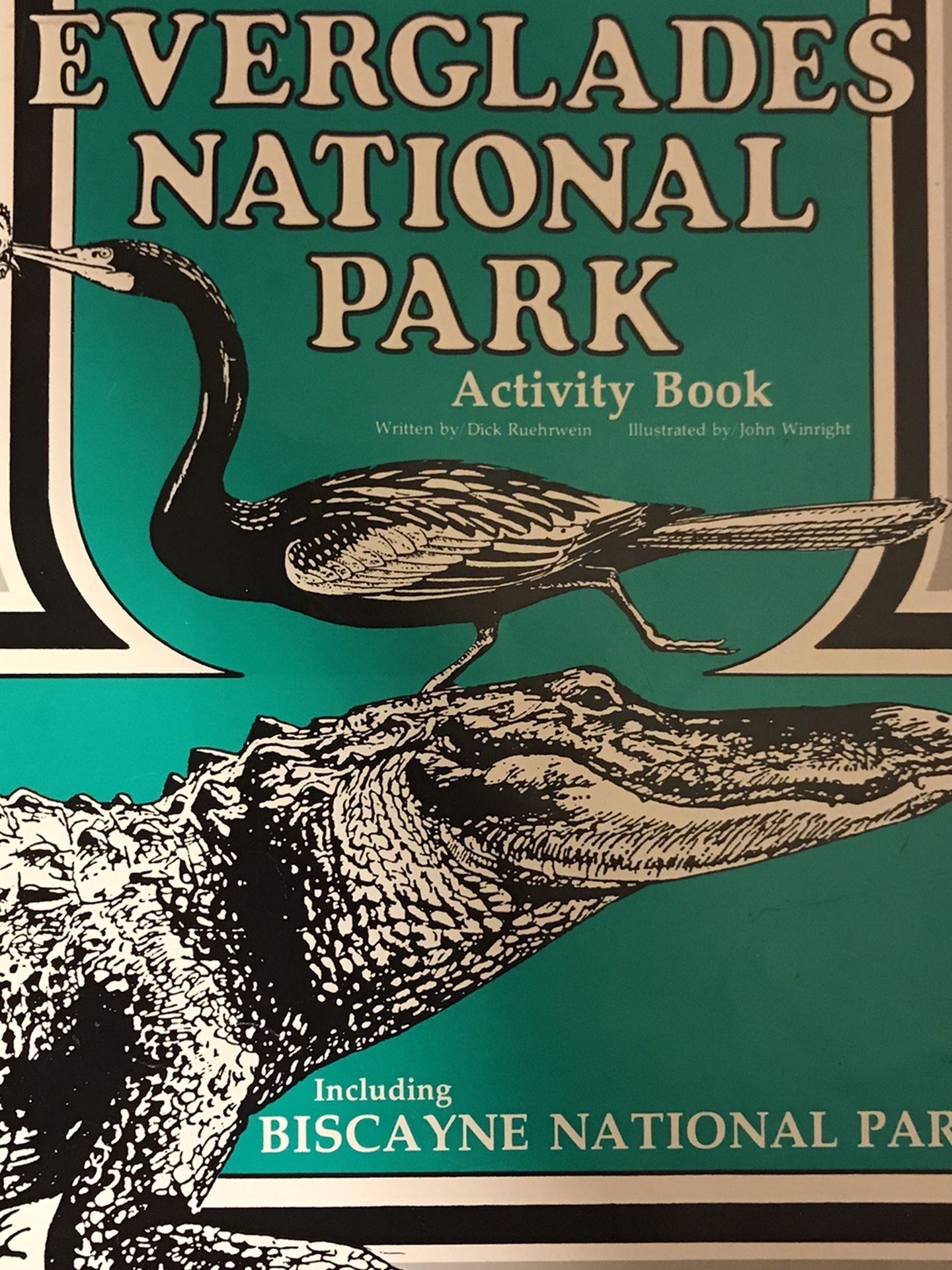 Everglades National Park Activity Book