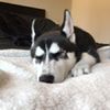 Kylie
