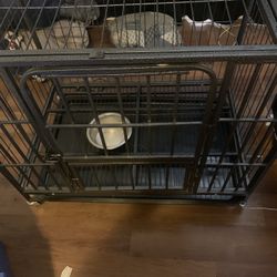 Dog Kennel