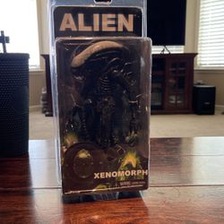 ALIEN XENOMORPH