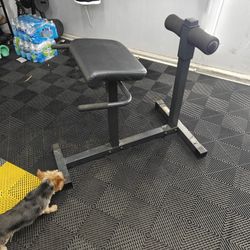 Workout Bench 
