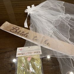 Bride Set - Bridal Sash, Veil, Banner