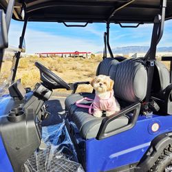 SALE PRICE: 2025 Denago Nomad EV Lithium Golf Cart 