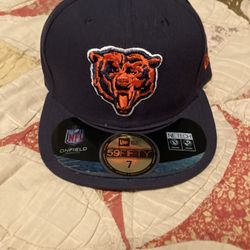 Bears Size 7 Fitted Hat Brand New