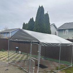 Large Outdoor Dog Kennel.