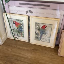 VINTAGE PARROT PICTURES PAIR