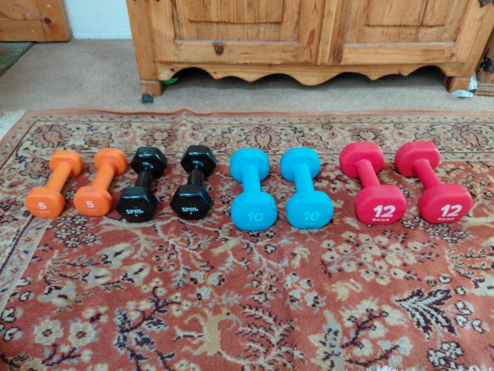 Weights Dumbells Set 12, 10, 8, 5 