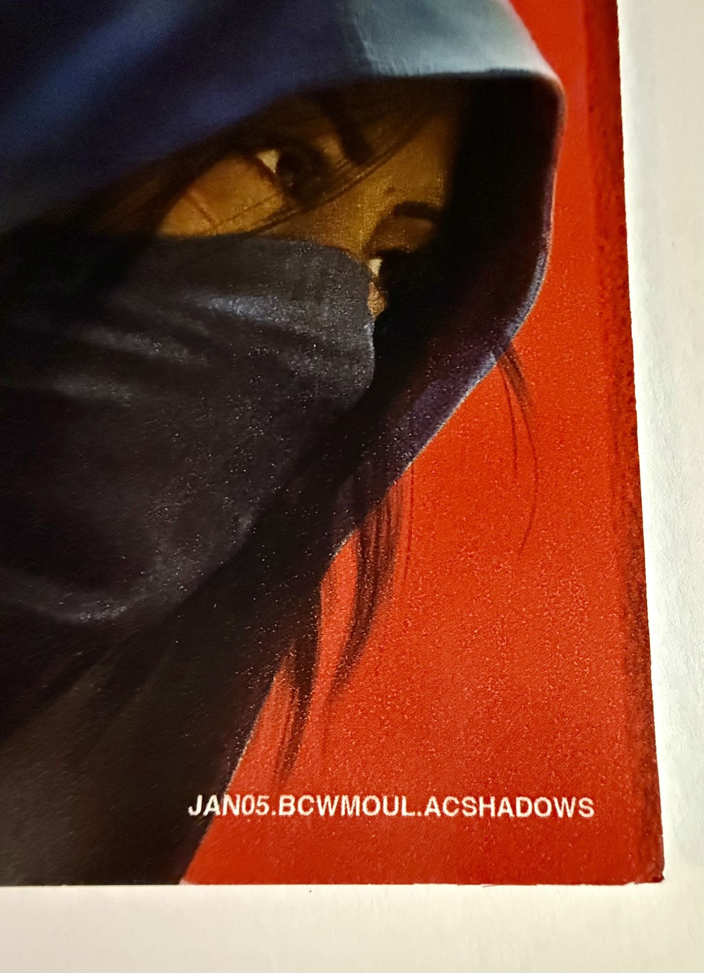 Assassins Creed Shadows GameStop Promo Display Poster 4 Pieces (24x24) 48x48